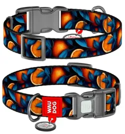 collar-waudog-nylon-obroza-nylonowa-z-qr-paszportem-plastikowy-fastex-wzo