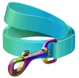 collar-waudog-recycled-smycz-nylonowa-gradient-m-20mm-122cm-niebieski