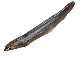 wegorz-wedzony-na-goraco-1kg