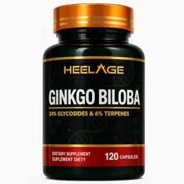 ginkgo-biloba-240mg-pamiec-koncentracja-mozg-myslenie-120-kapsulek