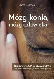 mozg-konia-mozg-czlowieka-neurobiologia-w-jezdziectwie