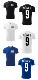treningowa-koszulka-uruguay-darwin-nunez-9-jr