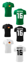 treningowa-koszulka-germany-karim-adeyemi-16