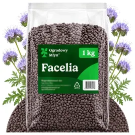 poplon-facelia-blekitna-stala-1-kg-roslina-miododajna-dla-pszczol-nawoz