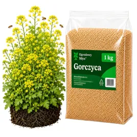poplon-gorczyca-biala-miododajna-paszowa-nawoz-zielony-nasiona-ziarno-1-kg