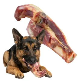 kosc-dla-psa-hiszpanska-z-szynki-serrano-duza-naturalna-ze-szpikulcem-xl