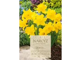 narcyz-dutch-master-zolte-narcyzy-zestaw-cebul-7-szt