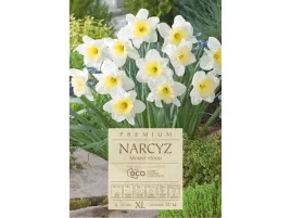 narcyz-bialy-mount-hood-cebule-narcyzow-zestaw-4-szt