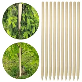 palik-drewniany-fi-32-150-cm-kij-tyczka-do-podpierania-katalpy-10-szt