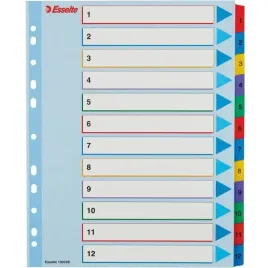 przekladki-kartonowe-na-segregator-a4-1-12-kolorowe-esselte