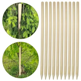 palik-drewniany-170-cm-fi-32-tyczka-gruby-kij-do-podpierania-katalpy-10-szt