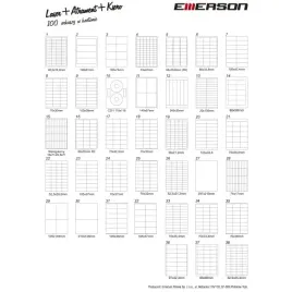 etykieta-a4-biala-100x30mm-009-emerson-eta4100x030w
