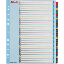 przekladki-kartonowe-na-segregator-a4-1-31-kolorowe-esselte