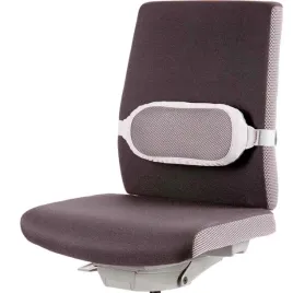 podporka-pod-plecy-i-spire-fellowes