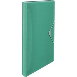 teczka-z-6-poszerzanymi-przegrodkami-zielona-esselte-colour-breeze-626253