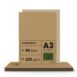 papier-kraft-netuno-225-g-aster-brazowy-a3-297x420-mm-50-szt-arkuszy
