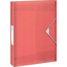 teczka-na-dokumenty-a4-organizer-z-gumka-esselte