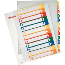 przekladki-plastikowe-format-a4-1-12-do-zadruku-100214-esselte