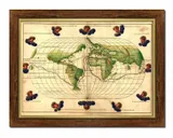 obraz-na-plotnie-mapa-swiata-w-pieknej-ramie-62x82cm