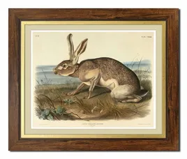 obraz-na-plotnie-krolik-52x62cm
