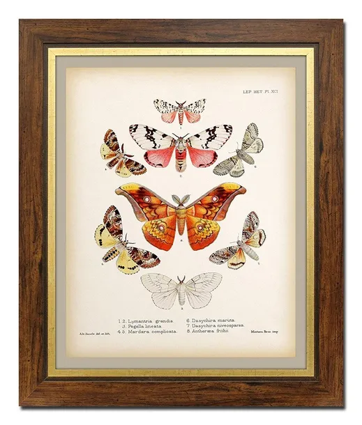 obraz-na-plotnie-motyle-52x62cm