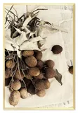 obraz-na-plotnie-do-kuchni-owoce-63x93cm
