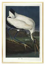 obraz-na-plotnie-ptactwo-63x93cm