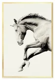obraz-na-plotnie-63x93cm-kon