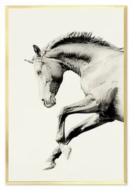 obraz-na-plotnie-63x93cm-kon