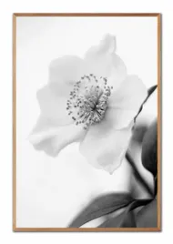 obraz-na-plotnie-boho-63x93cm