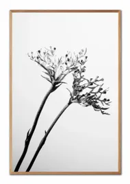 obraz-na-plotnie-boho-63x93cm