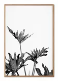 obraz-na-plotnie-boho-63x93cm