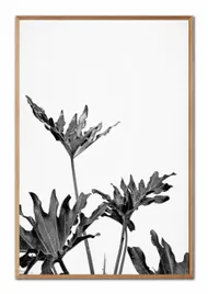 obraz-na-plotnie-boho-63x93cm