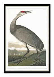 obraz-na-plotnie-ptactwo-63x93cm