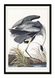 obraz-na-plotnie-ptactwo-63x93cm