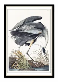 obraz-na-plotnie-ptactwo-63x93cm
