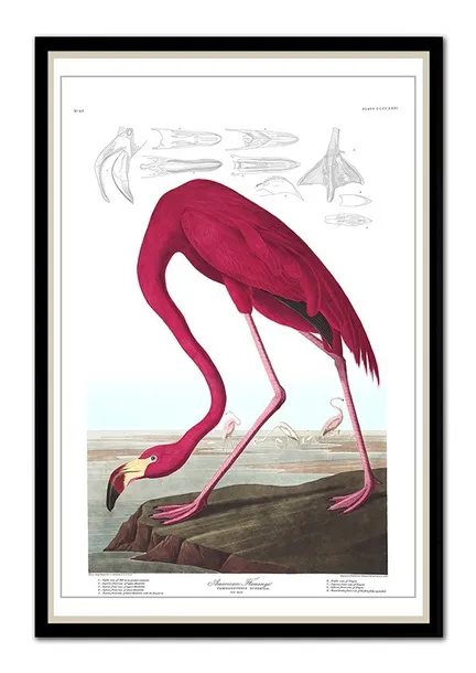obraz-na-plotnie-rozowy-flaming-63x93cm