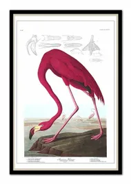 obraz-na-plotnie-rozowy-flaming-63x93cm
