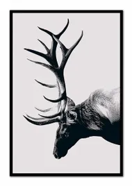 obraz-na-plotnie-jelen-63x93cm