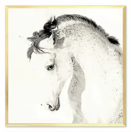 obraz-na-plotnie-63x63cm-bialy-kon