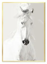 obraz-na-plotnie-53x73cm-bialy-kon