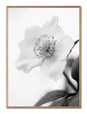 obraz-na-plotnie-boho-53x73cm