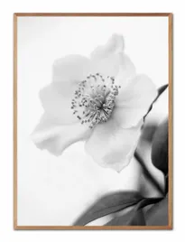 obraz-na-plotnie-boho-53x73cm