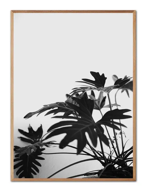 obraz-na-plotnie-boho-53x73cm