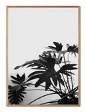 obraz-na-plotnie-boho-53x73cm