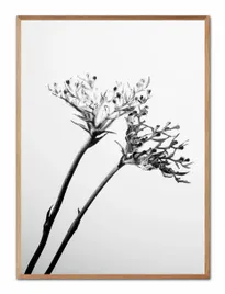 obraz-na-plotnie-boho-53x73cm