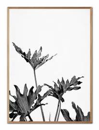 obraz-na-plotnie-boho-53x73cm
