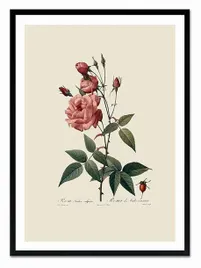 obraz-na-plotnie-kwiaty-53x73cm