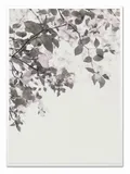 obraz-na-plotnie-kwitnace-drzewo-53x73cm