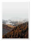obraz-na-plotnie-las-w-gorach-53x73cm